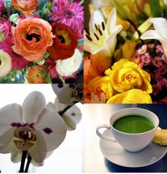 flowers and detox soup (tasty cornbread not included)