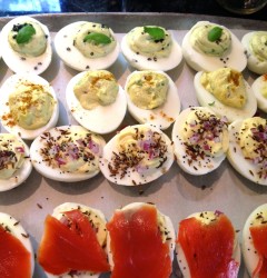 deviled eggs